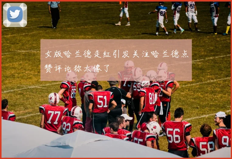女版哈兰德走红引发关注哈兰德点赞评论称太像了